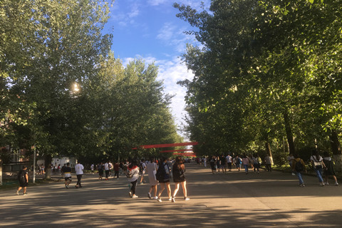 成都市报考教师资格证面试的需要满足的条件是怎样规定的2020